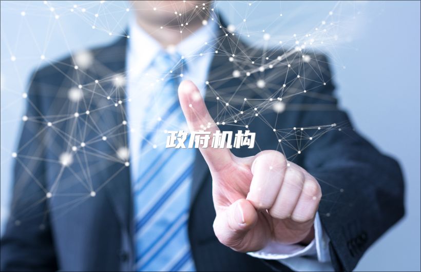 政府组织