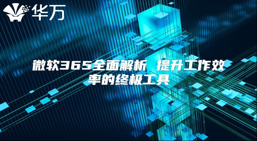 微软365全面解析 提升工作效率的终极工具